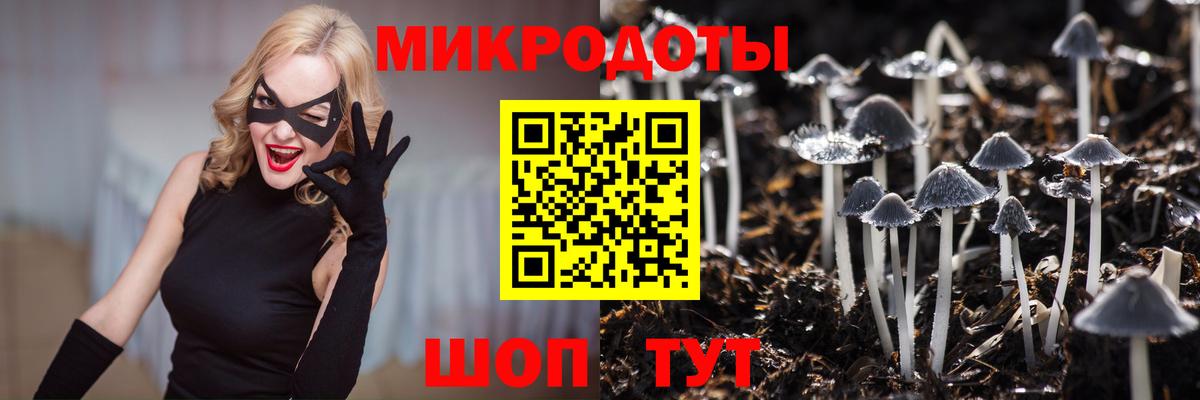 Сызрань  Галлюциногенные грибы Psilocybine cubensis  Вход с VPN  Галлюциногенные грибы Psilocybe 