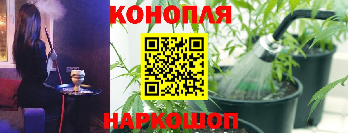 Бошки Шишки план Сызрань